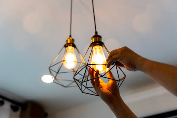 Best Electrical Repair Services  in Coleman, MI
